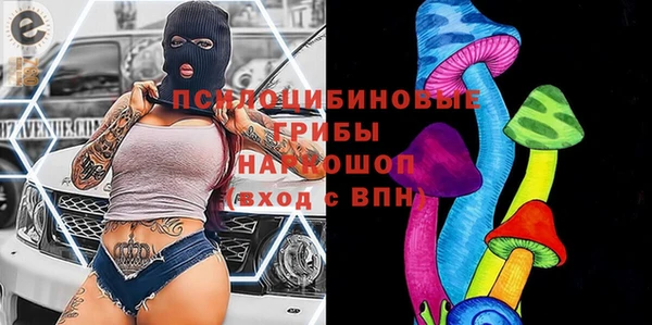 таблы Новозыбков