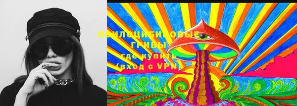 таблы Новозыбков