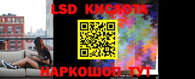 ПСИЛОЦИБИНОВЫЕ ГРИБЫ Кинель