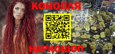 прущие грибы Кингисепп