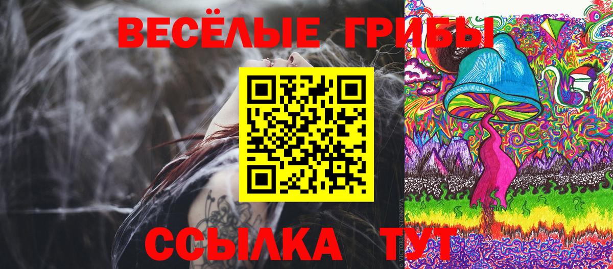 Галлюциногенные грибы MAGIC MUSHROOMS  Вход с VPN  что такое наркотик  Серов  Псилоцибиновые грибы GOLDEN TEACHER 